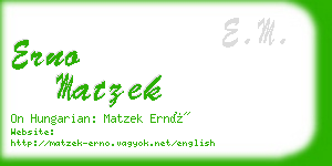 erno matzek business card